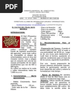 EL CONQUISTADOR_ N° 07_2010_FRIJOL BAYO