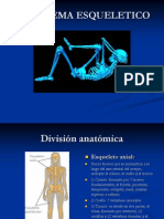 Curso de Paramedico- Sistema Esqueletico