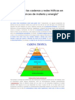 Análisis de Las Cadenas y Redes Tróficas en Los Balances de Materia y Energía