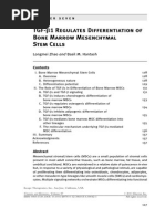 Download Chapter Seven  TGF-1 Regulates Differentiation of Bone Marrow Mesenchymal Stem Cells by proluvieslacus SN172260499 doc pdf