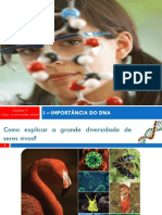 I - Importância Do Dna PDF