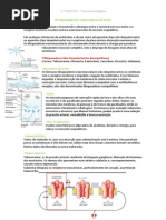 resumão 2ª prova FARMACOLOGIA