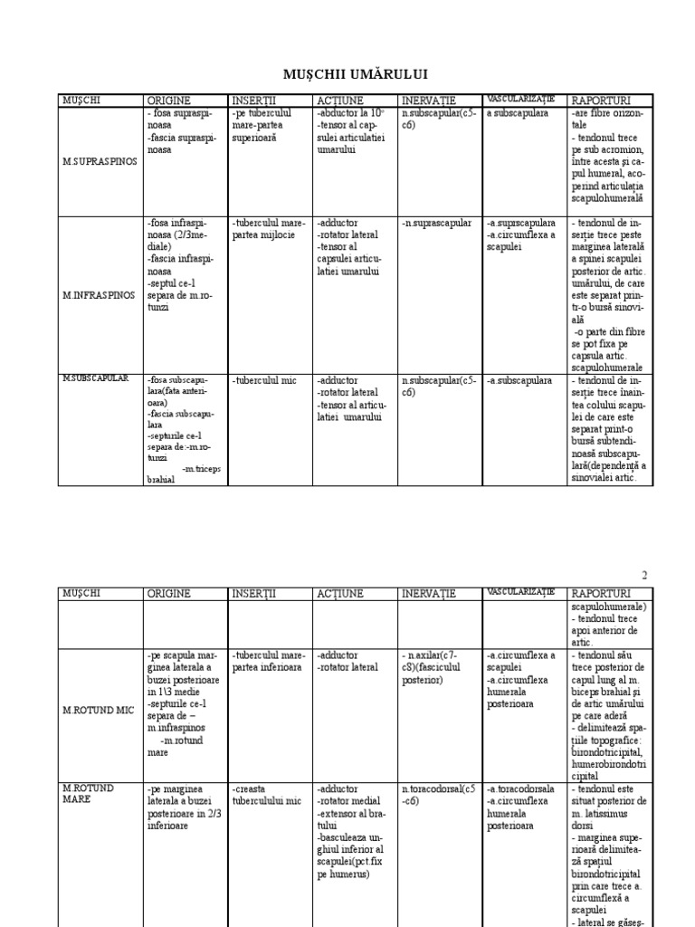 Muschii Membrului Superior | PDF