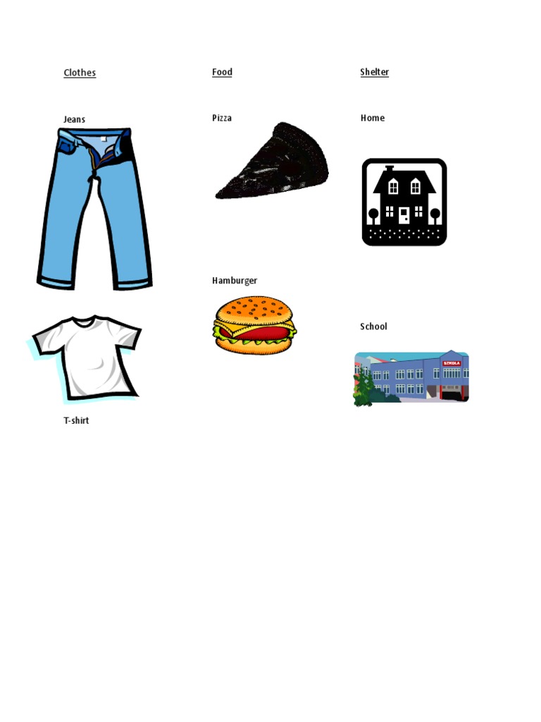 Basic Needs | PDF