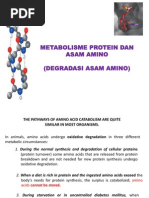 Download 9a Metabolisme Asam Amino by himawarum SN172282636 doc pdf