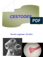 Cestode S