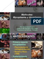 Mycoplasma y Ureaplasma 2013