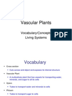 Vascular Plants Vocabulary