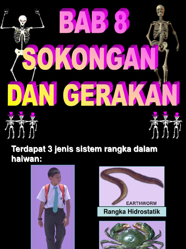 Topik 7 Sokongan Dan Pergerakan Pdf