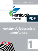 Curso Auxiliar Laboratório Metalurgico 1