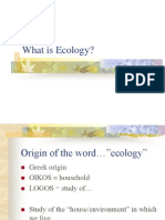 What Is Ecology