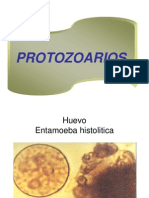 Protozoa Rios