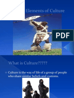 Elements of Culture