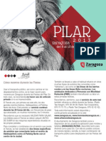Programa Bolsillo Pilar 2013