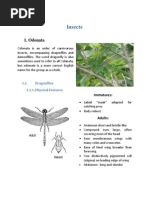 Insects: 1. Odonata