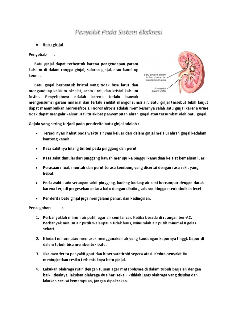 Di Dalam Rongga Ginjal Terdapat Batu Ginjal Yang Dapat Menyebabkan Cara Golden