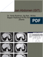 Kuliah Blok GI Tract-CT Scan Abdomen - Agustus 2010