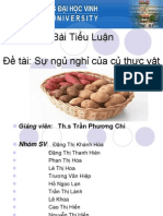 sự ngủ nghỉ của thực vật