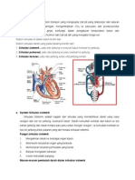 System Sirkulasi