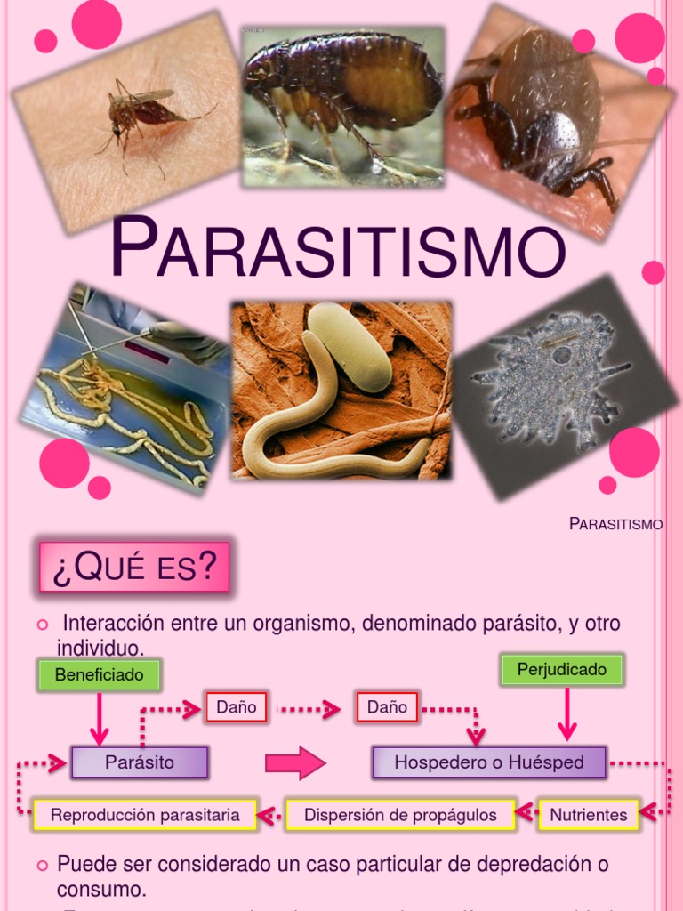 Definición y Tipos de Parasitismo | PDF | Ciencia y matemáticas