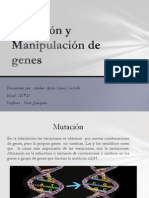 Mutación y Manipulación de genes