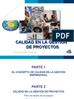 Calidad en La Gestión de Proyectos