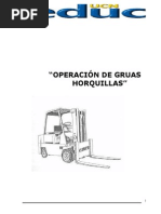 Manual Gruas Horquillas