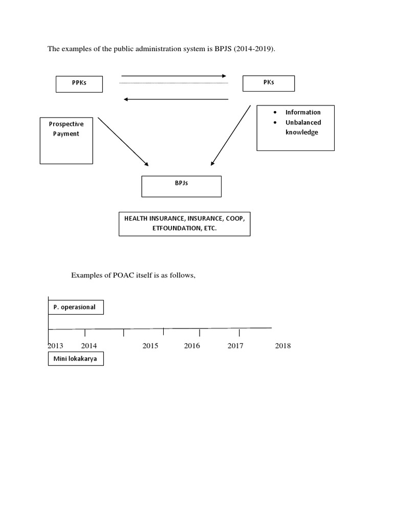 The Examples of The Public Administration System Is BPJS (2014-2019 ...