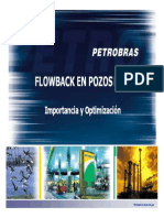 Proceso Por Flowback