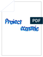 Proiect economie