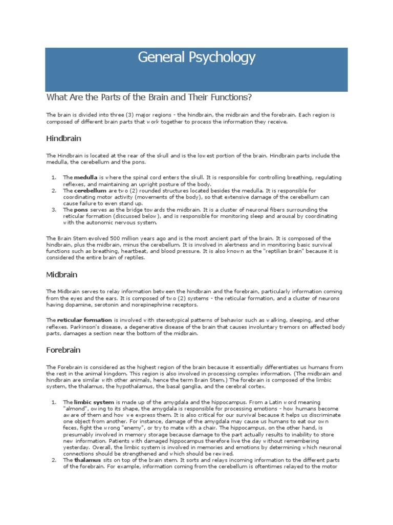 Brain Structure and Functions in Psychology | PDF | Lateralization Of ...