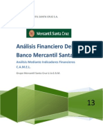 Análisis financiero BMSC CAM