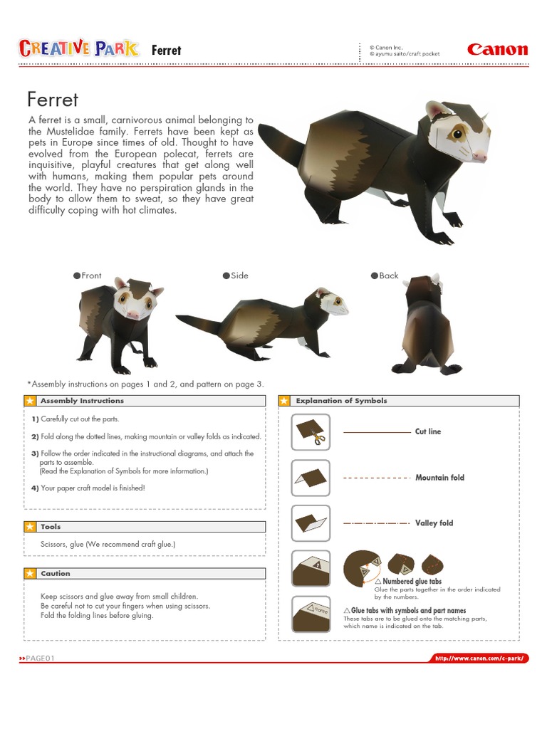 Ferret e A4 | PDF