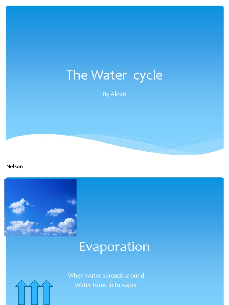 Understanding the Water Cycle | PDF