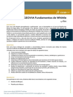 Whittle Fundamentos - Ficha GEOVIA