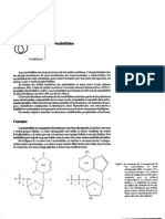 cap8nucleótidos