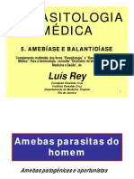 REY - Parasitologia - 05