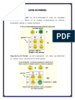 Leyes de Mendel