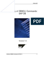 Dbmcli Commands