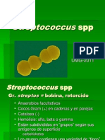 Estreptococos y S. pneumoniae