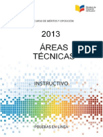 Instructivo_AreasTecnicas_2013.pdf