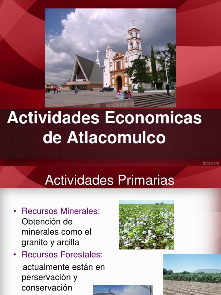 Actividades Económicas en Atlacomulco | PDF | Tecnología