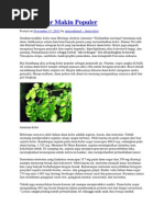 Download Daun Kelor Makin Populer by Mohammad Zainuri SN172634740 doc pdf