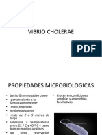 Vibrio Cholerae