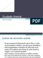 Exudado Uretral