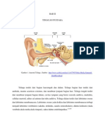 anatomi dan fisiologi pngdengaran.docx