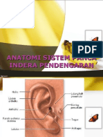 Anatomi Fisiologi Indra Pendengaran