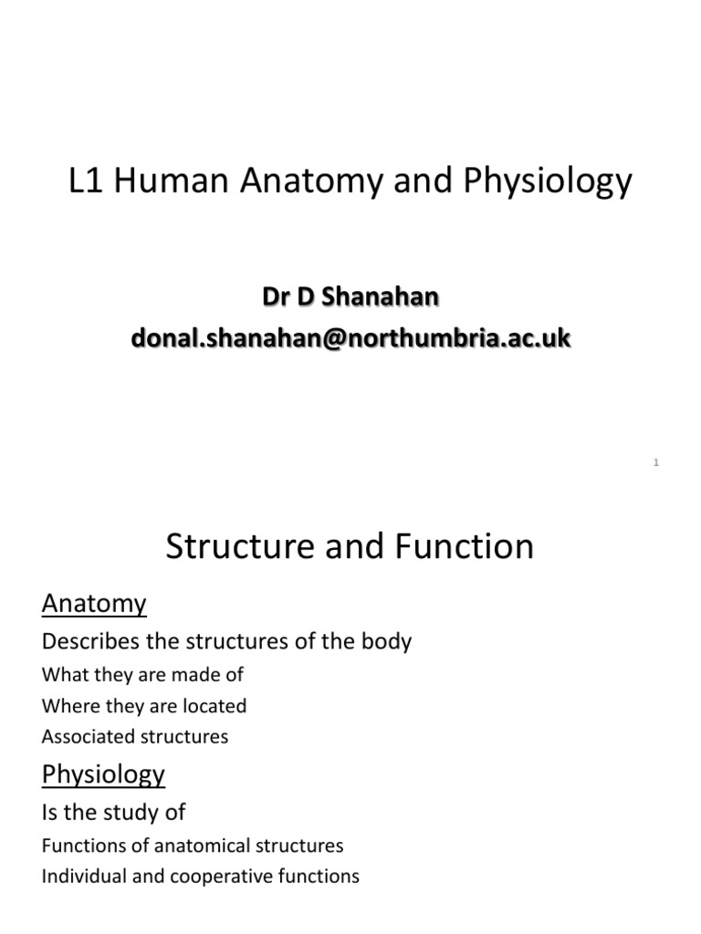 Human Anatomy and Physiology Overview | PDF | Anatomical Terms Of ...