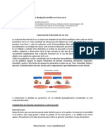 Evaluacion Funcional de La Voz PDF