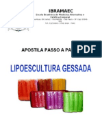 Apostila Lipogessada Completa